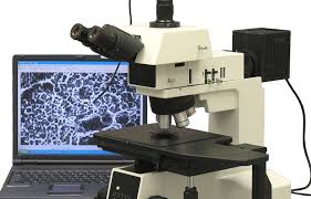Microscope analysis